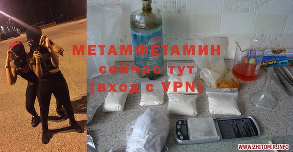 шишки Сатка