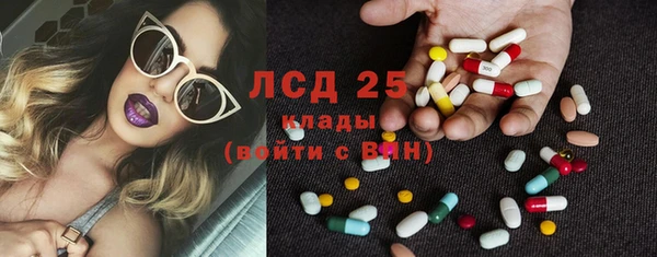 spice Богородицк