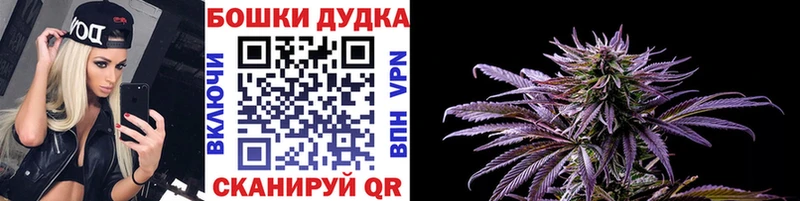 как найти закладки  Наро-Фоминск  Марихуана план 