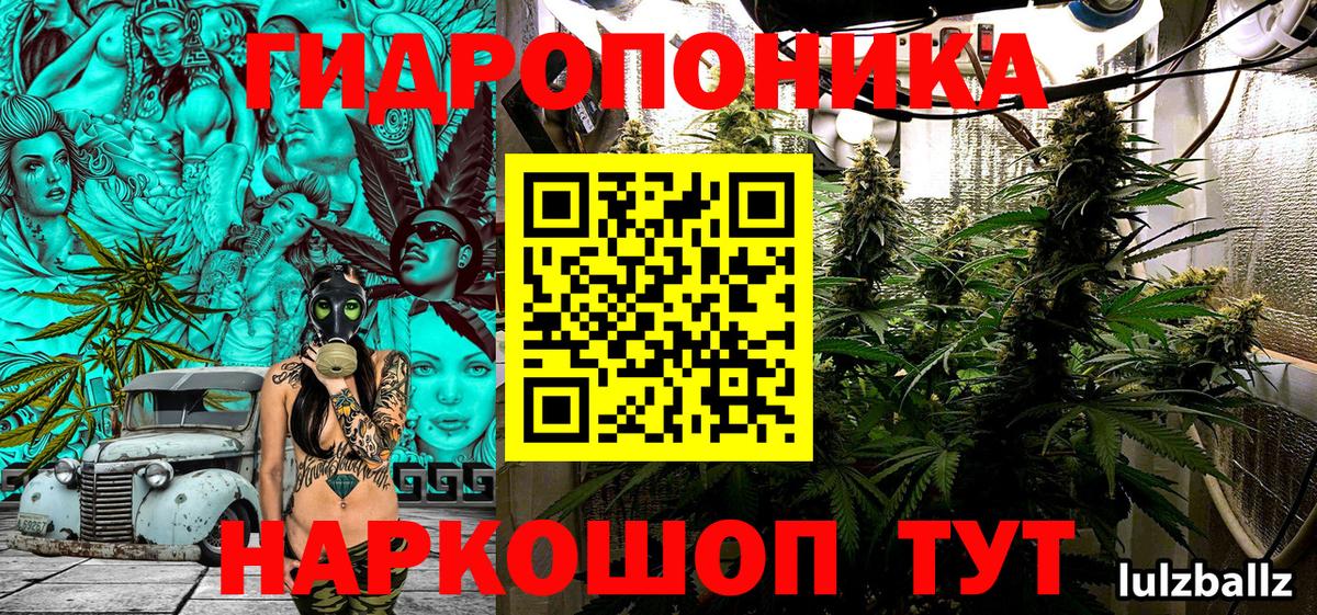 Бошки Шишки сатива  Конопля конопля  Наро-Фоминск  Канабис план  Вход с VPN  Конопля VHQ 